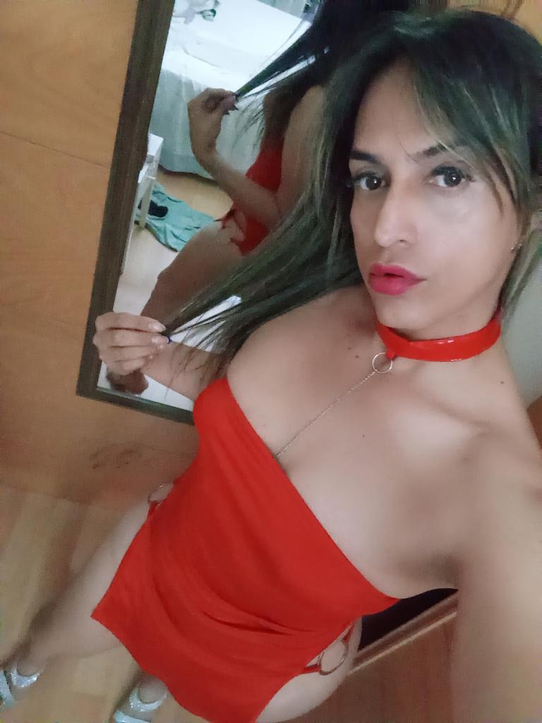 Transexual en Vizcaya: 