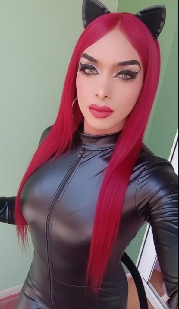 Travesti en Navarra: 