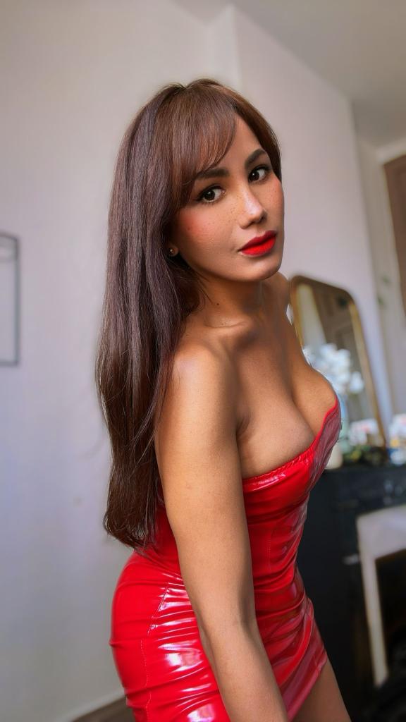 Travesti en Valencia: 