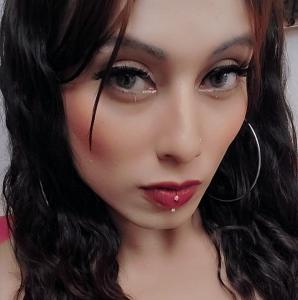 Transexual en Navarra: 