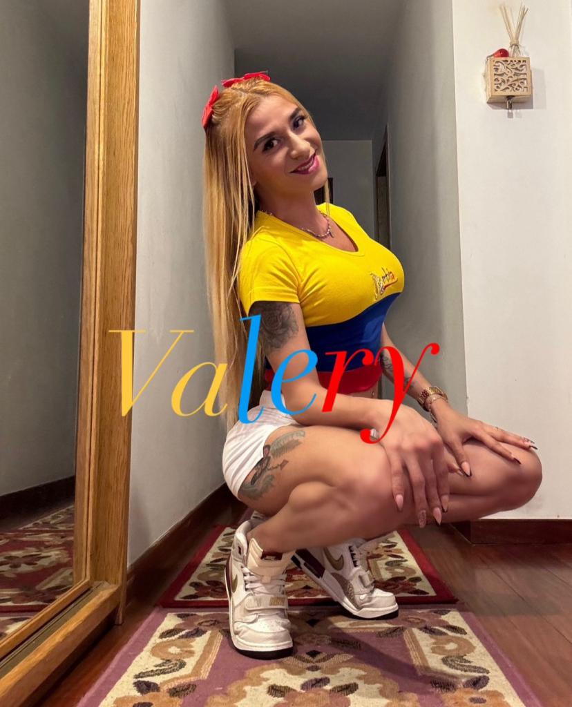 604283433: Travesti en Palencia