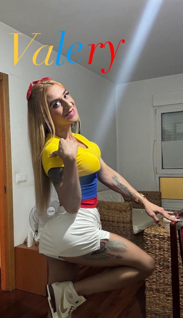 Transexual en Palencia: 