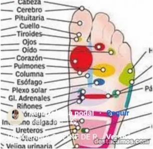 Chica busca chico en Almería: 