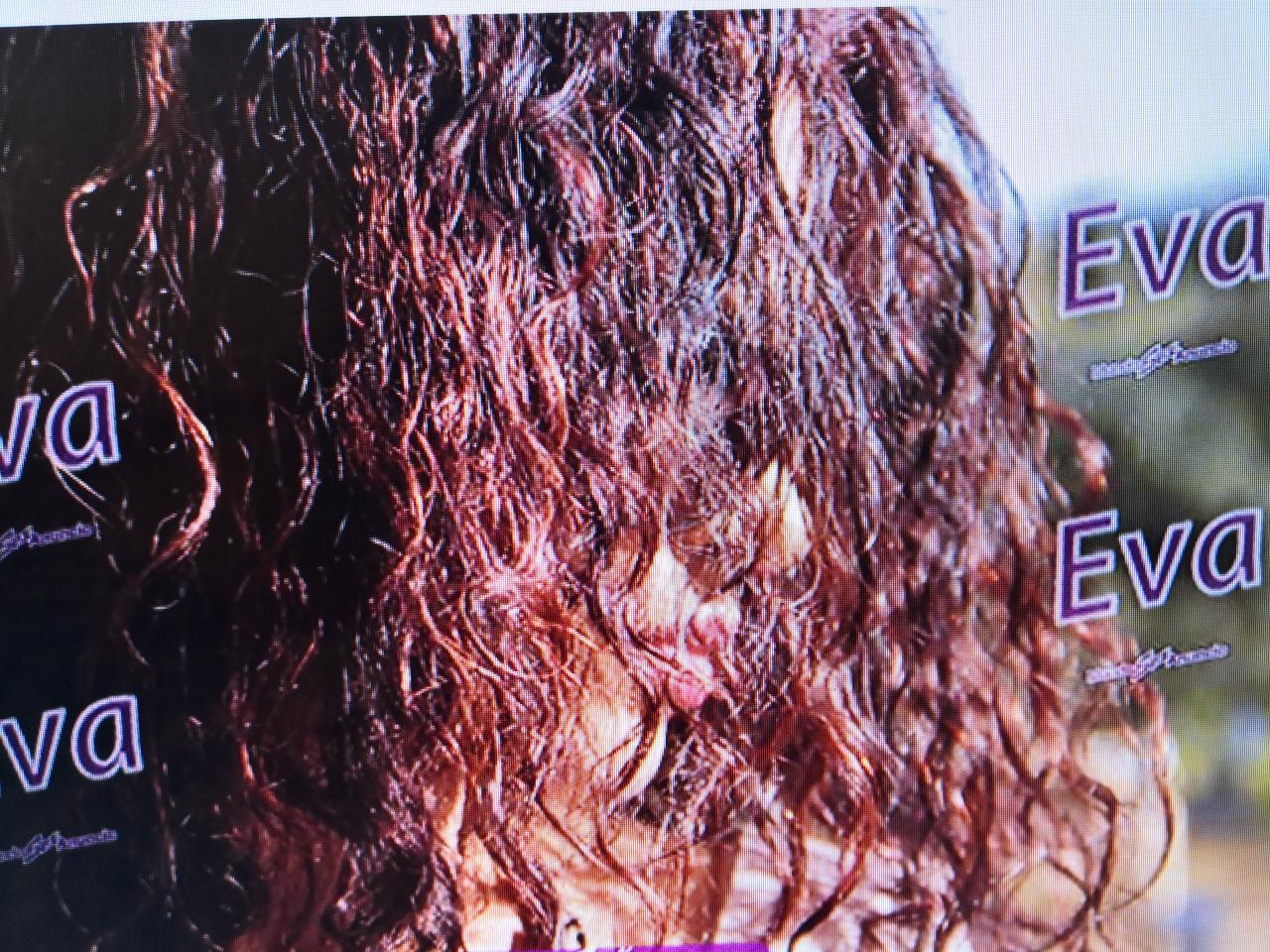 Chica busca chico en Córdoba: 